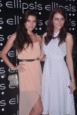 at Ellipsis launch hosted by Arjun Khanna in Mumbai on 6th July 2012 (102).JPG